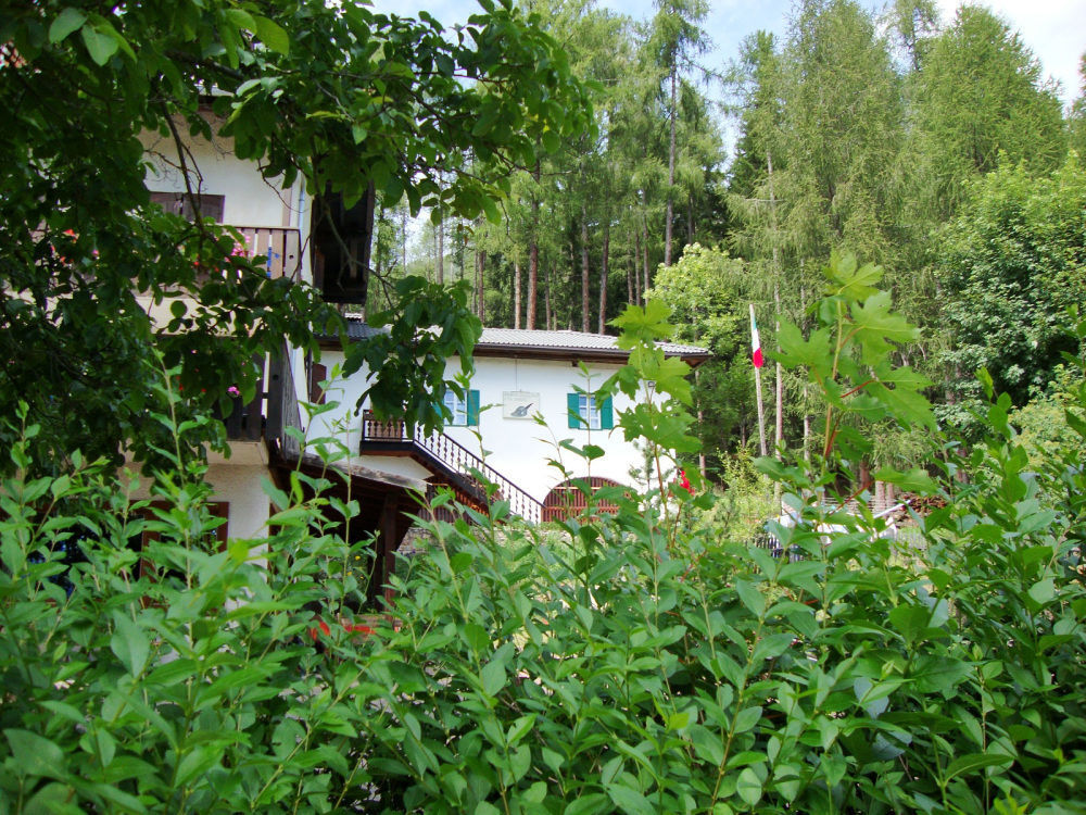 Hotel Ganzaie Val di Fiemme Exterior photo
